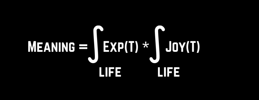 meaning of life is integral of experience and happiness over life time